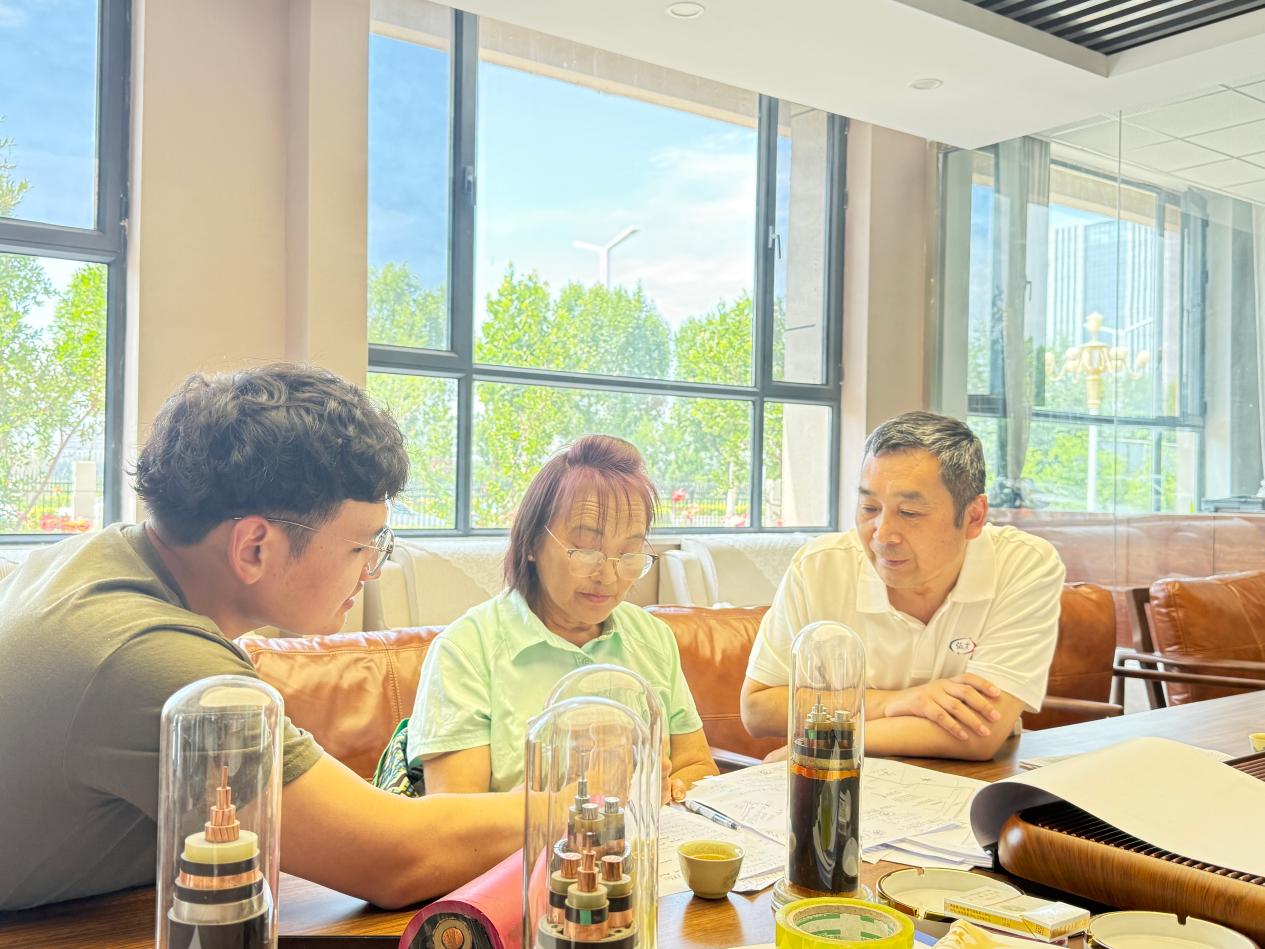 Hongda Cable team discusses technical details with Mongolian clients