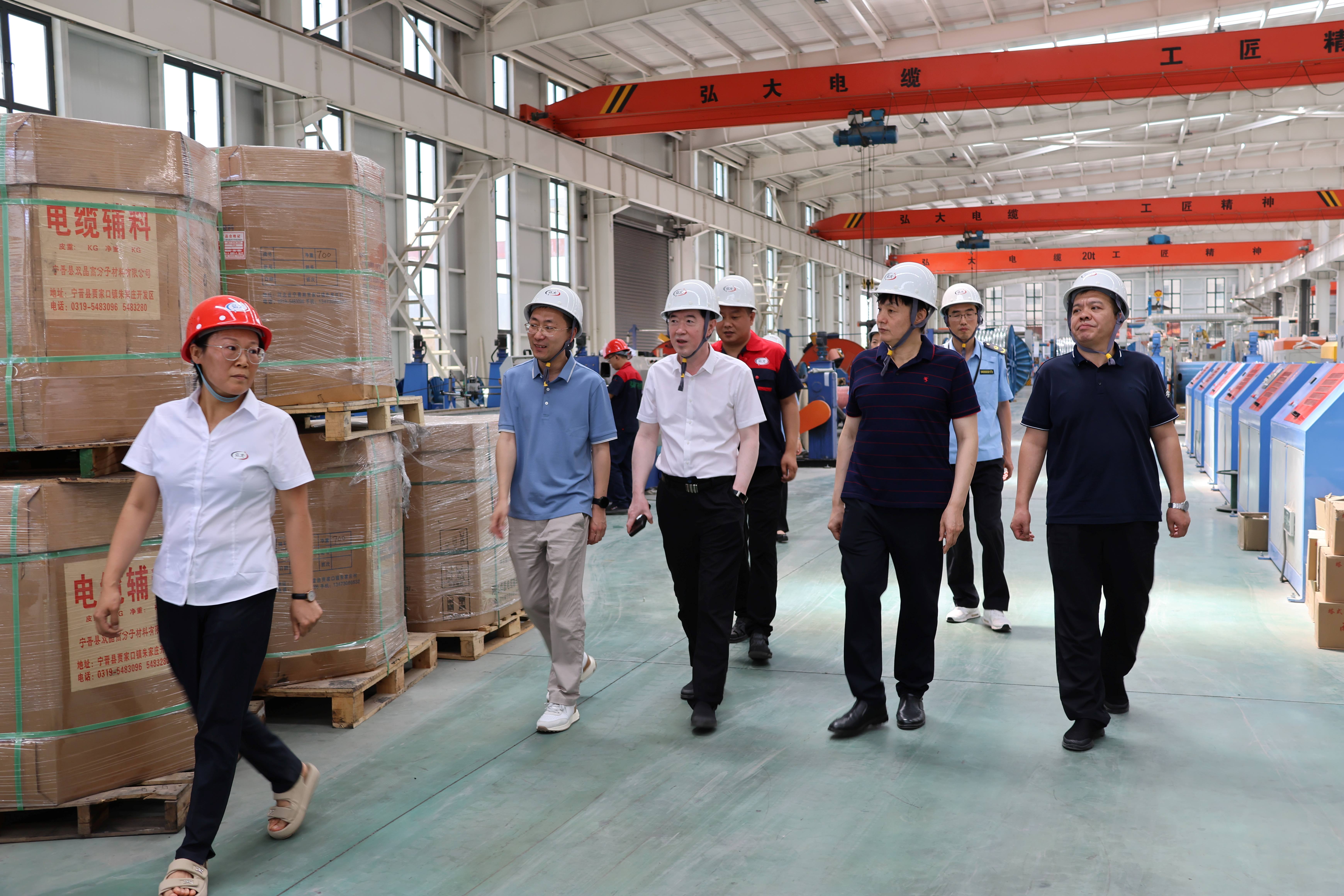 Market Supervision Officials Visit Hongda Cable for Inspection and Guidance